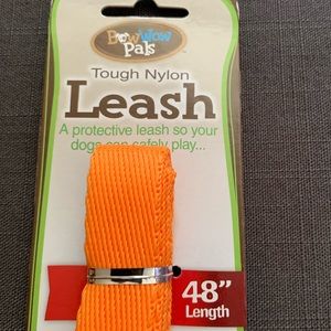 Nylon leash, 48 inches (4ft)